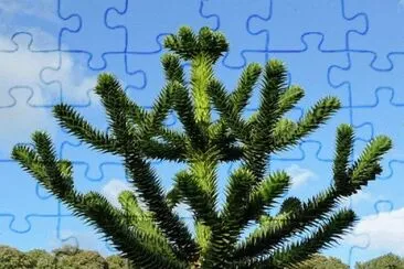 Nature jigsaw puzzle