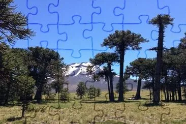 Nature jigsaw puzzle