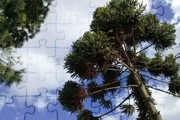 Nature jigsaw puzzle