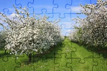 Nature jigsaw puzzle