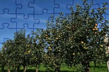 Nature jigsaw puzzle