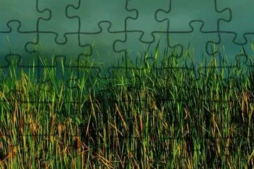 Nature jigsaw puzzle