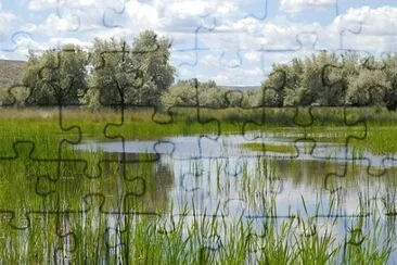 Nature jigsaw puzzle