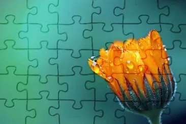 Nature jigsaw puzzle