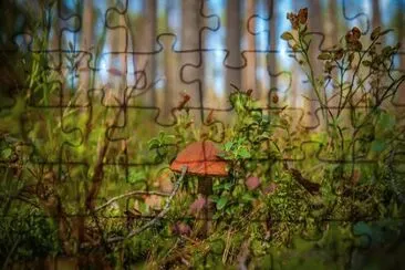 Nature jigsaw puzzle