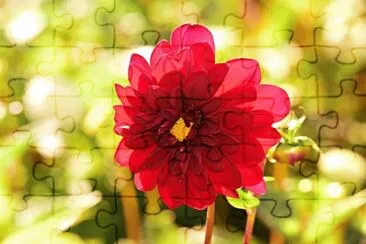 Nature jigsaw puzzle