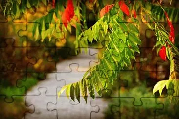 Nature jigsaw puzzle