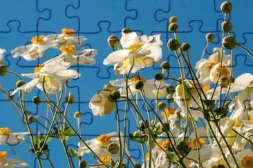 Nature jigsaw puzzle