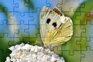 Nature jigsaw puzzle