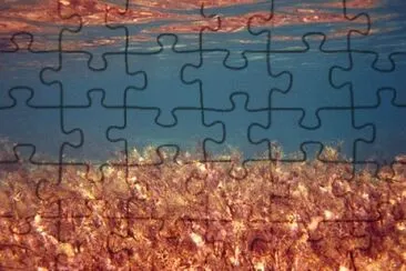 Nature jigsaw puzzle