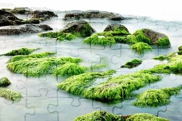 Nature jigsaw puzzle