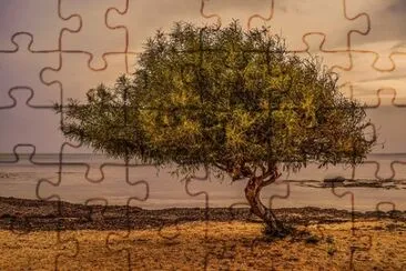 Nature jigsaw puzzle