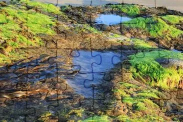 Nature jigsaw puzzle