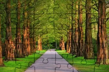 Nature jigsaw puzzle