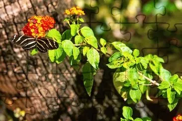 Nature jigsaw puzzle