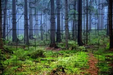 Nature jigsaw puzzle