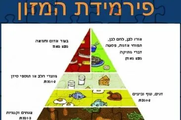 ×•×¢×“×ª ×‘×¨×™××•×ª