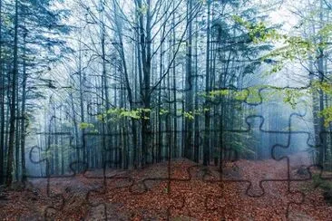 Nature jigsaw puzzle