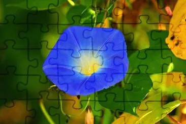 Nature jigsaw puzzle