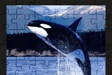 ORCA