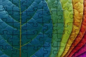 Colori, couleurs jigsaw puzzle