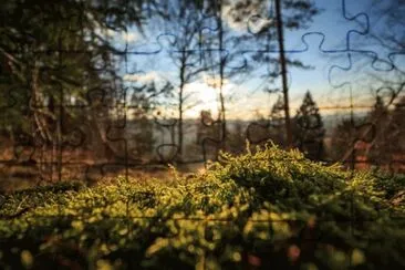 Nature jigsaw puzzle