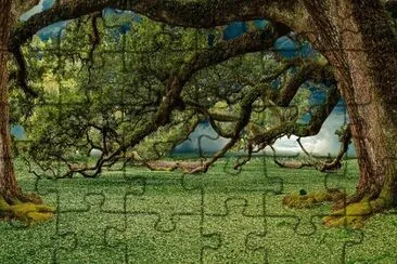 Nature jigsaw puzzle