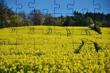 Nature jigsaw puzzle