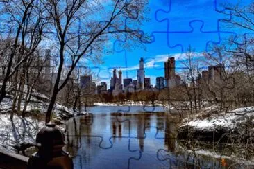 Central Park jigsaw puzzle