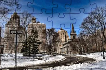 Central Park jigsaw puzzle