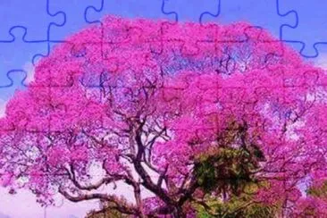 Nature jigsaw puzzle