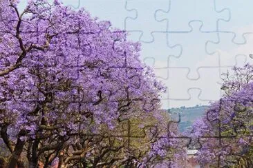 Nature jigsaw puzzle