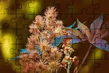 Nature jigsaw puzzle