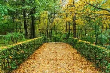 Nature jigsaw puzzle