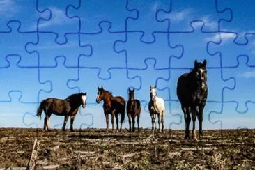 Caballos jigsaw puzzle