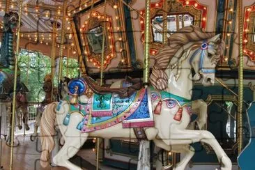 wooden-horse carousel