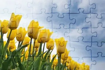 Nature jigsaw puzzle