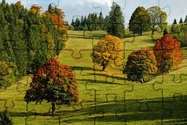 Nature jigsaw puzzle