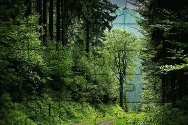 Nature jigsaw puzzle