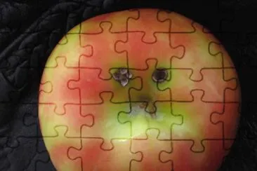 Sad apple - has a black eye !! jigsaw puzzle