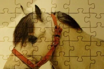 Sumba jigsaw puzzle