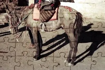 Tibetano jigsaw puzzle