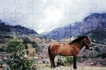 Timor jigsaw puzzle