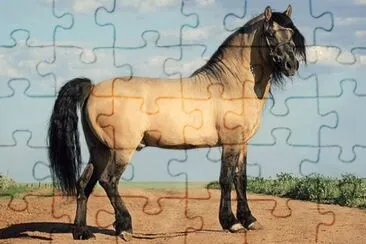 Viatka jigsaw puzzle