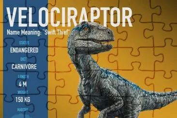 Velociraptor