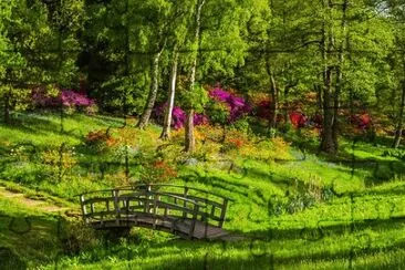 Nature jigsaw puzzle