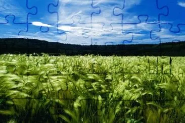 Nature jigsaw puzzle