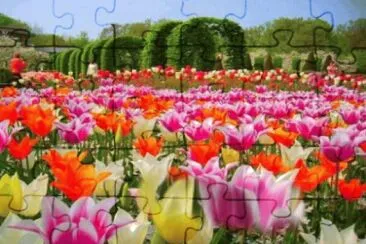 Nature jigsaw puzzle