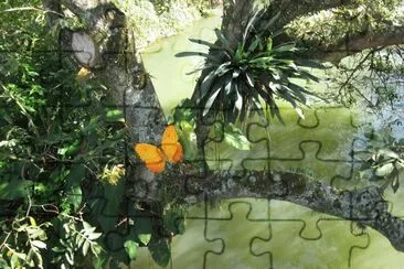 Nature jigsaw puzzle