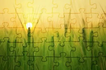 Nature jigsaw puzzle